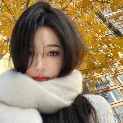 双面骗子虚假警察第二季